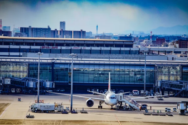 Airport Passenger Image